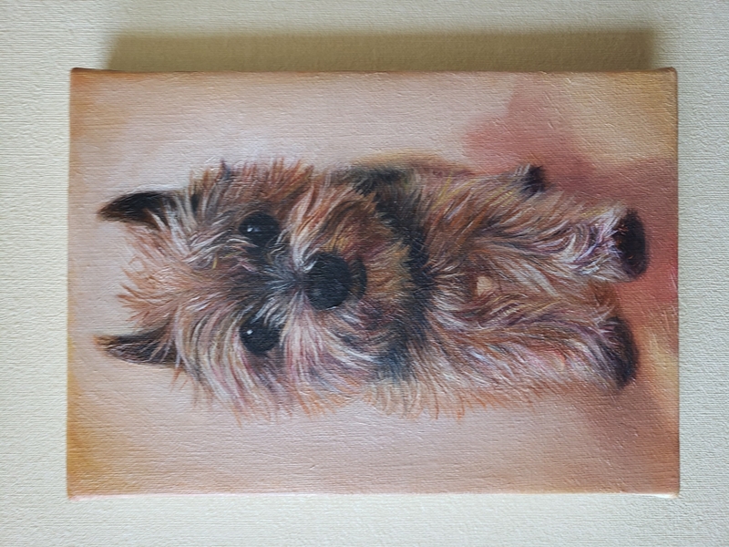 �y�b�g����G�܂ނ��Ă��i��