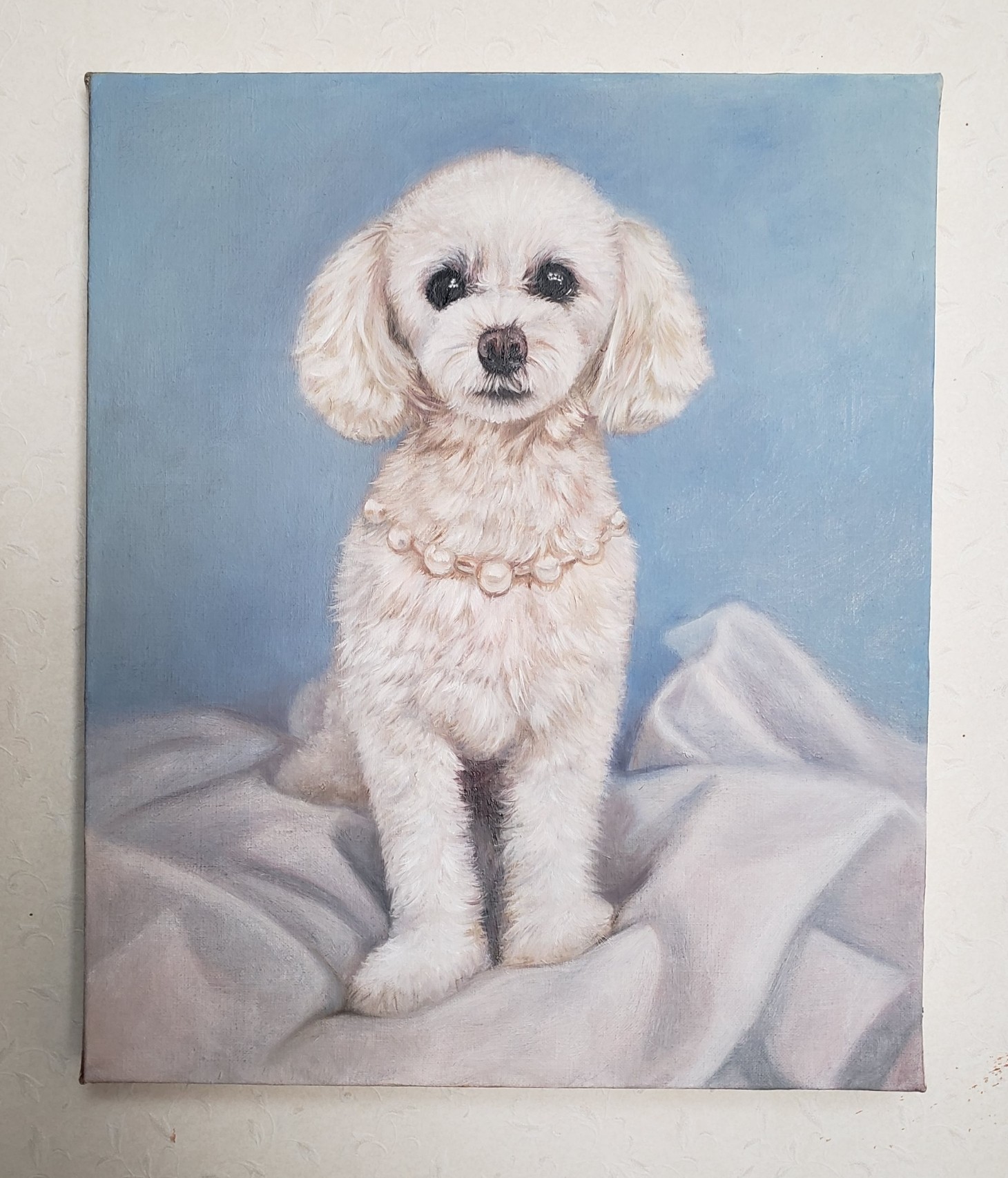 �y�b�g����G�܂ނ��Ă��i��