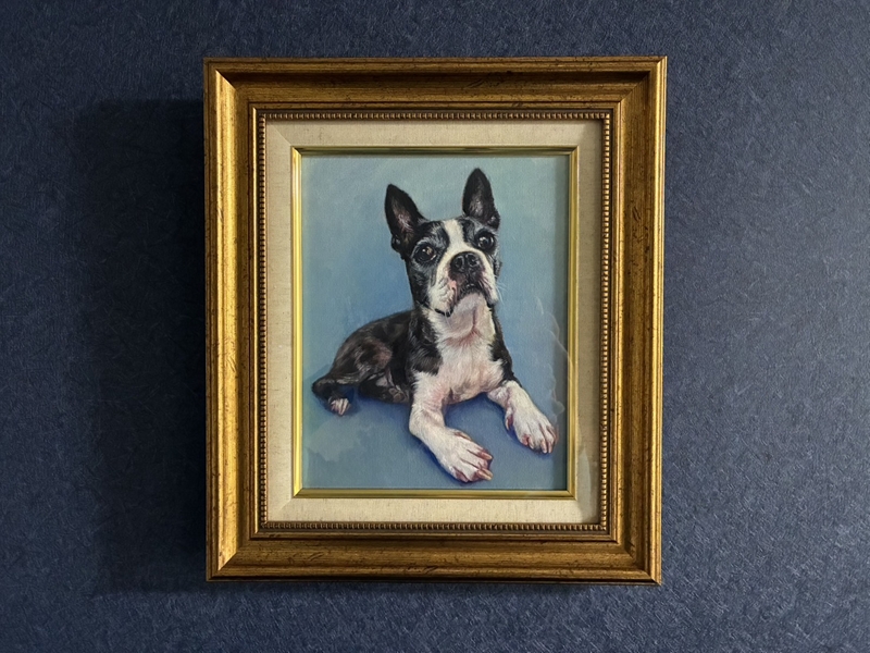 �y�b�g����G�܂ނ��Ă��i��