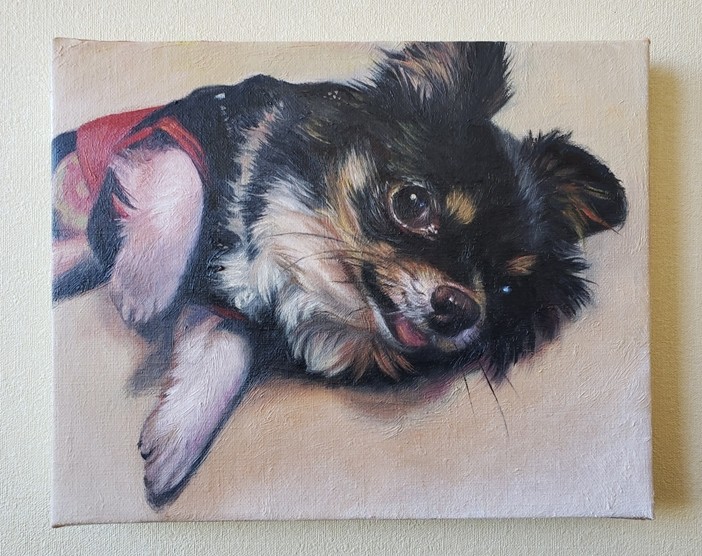 �y�b�g����G�܂ނ��Ă��i��