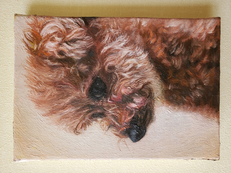 ペット似顔絵「まむすてゆ」｜油絵犬猫リアルな似顔絵オーダー
